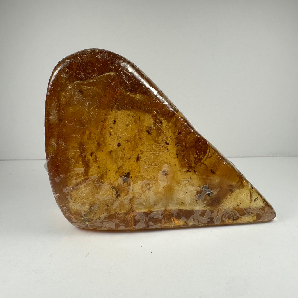 Colombian Amber with Insects | Minerals | Wiccan Center