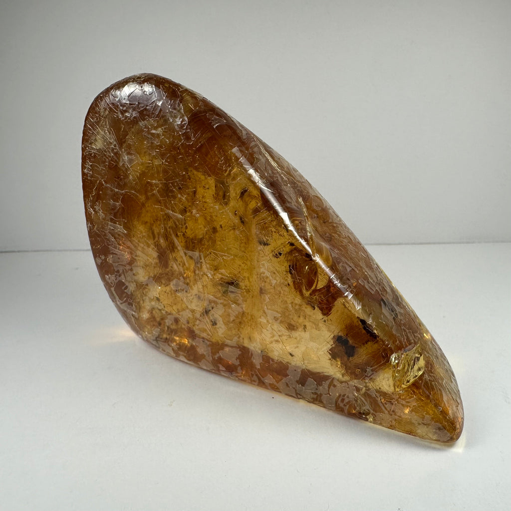 Colombian Amber with Insects | Minerals | Wiccan Center