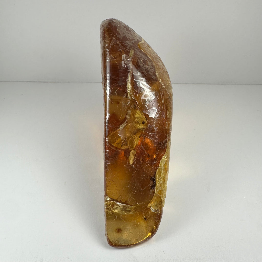 Colombian Amber with Insects | Minerals | Wiccan Center