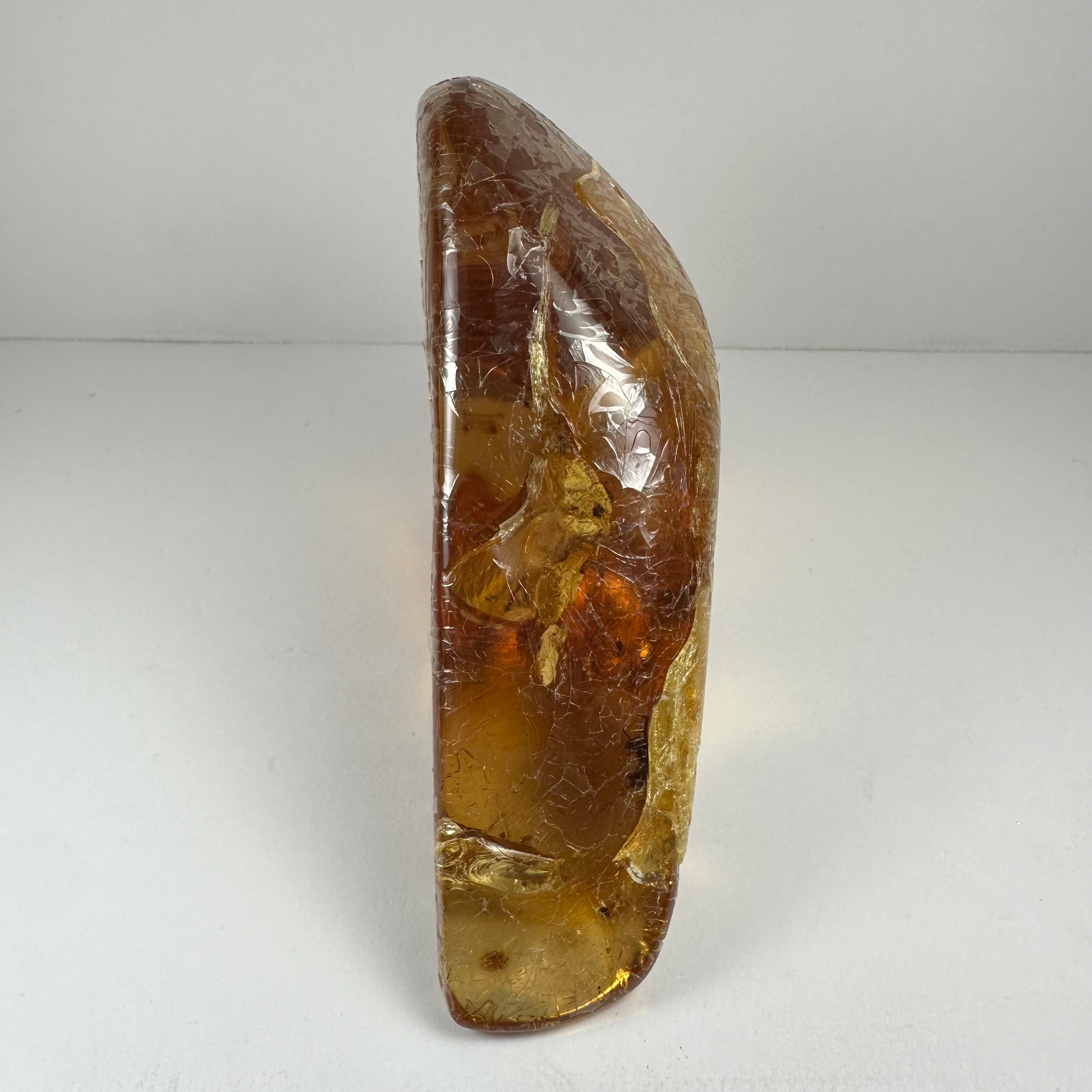 Colombian Amber with Insects | Minerals | Wiccan Center