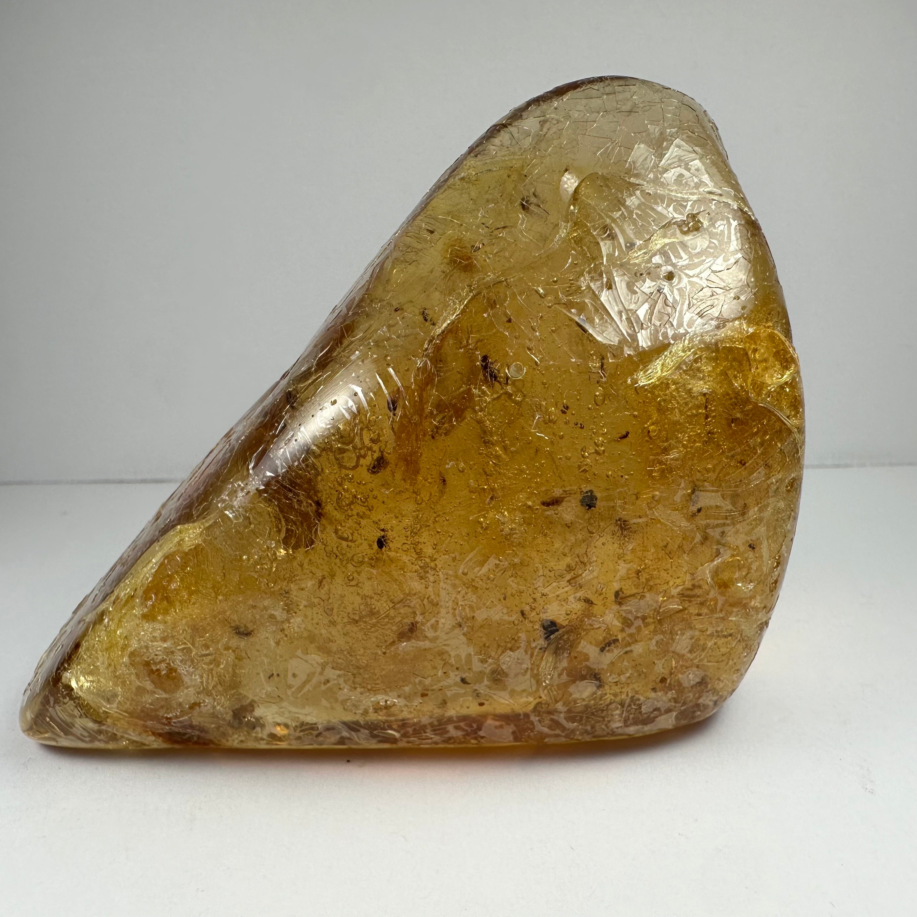 Colombian Amber with Insects | Minerals | Wiccan Center