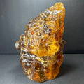 Colombian Amber Termite Hill | Minerals | Wiccan Center