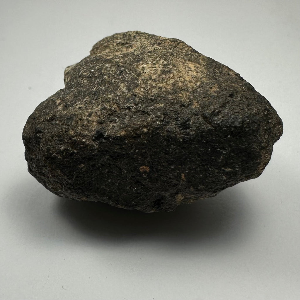 Chondrites Meteorite South Sahara Desert, Morocco | Minerals | Wiccan Center