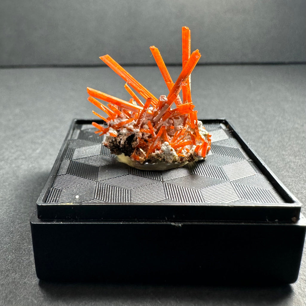 Crocoite on Matrix Adelaide Mine, Dundas, Tasmania, Australia | Minerals | Wiccan Center