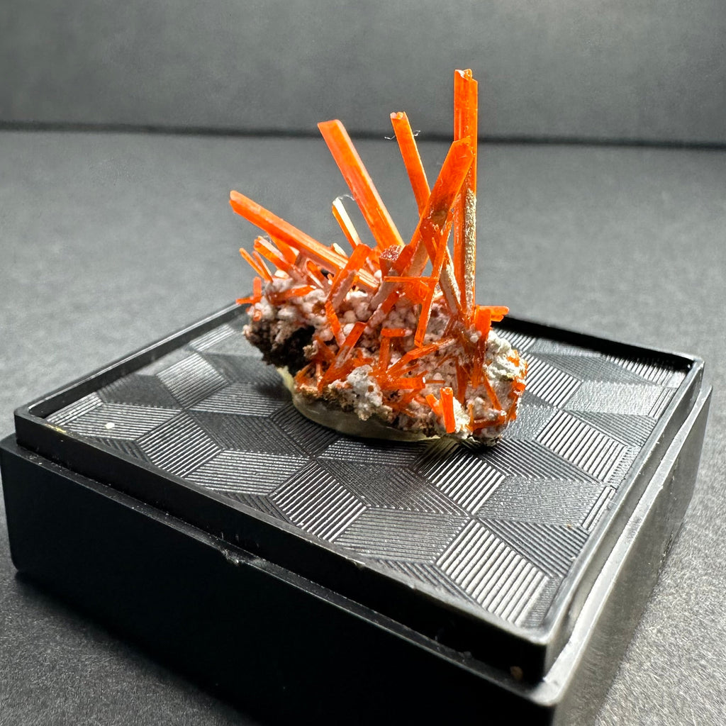 Crocoite on Matrix Adelaide Mine, Dundas, Tasmania, Australia | Minerals | Wiccan Center