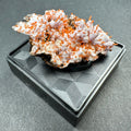 Crocoite on Matrix | Minerals | Wiccan Center