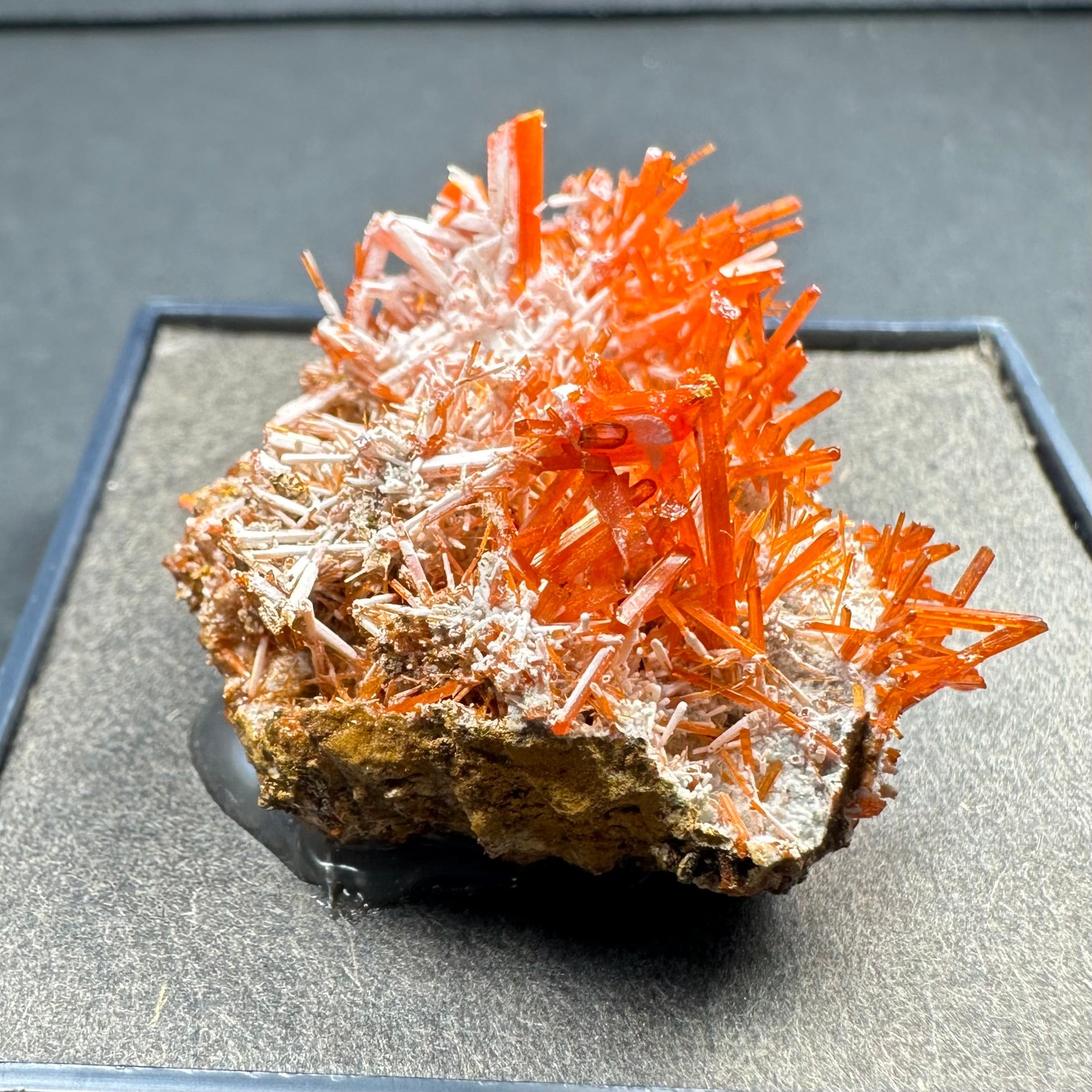 Crocoite on Matrix Adelaide Mine, Dundas, Tasmania, Australia | Minerals | Wiccan Center
