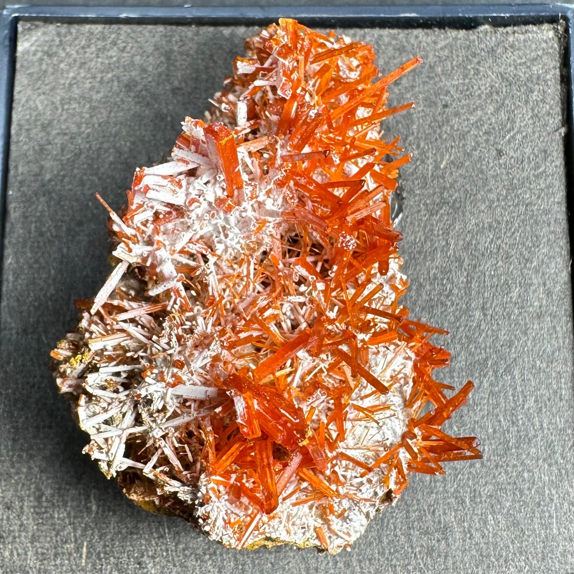 Crocoite on Matrix Adelaide Mine, Dundas, Tasmania, Australia | Minerals | Wiccan Center
