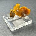 Micro Wulfenite Crystal Cluster | Minerals | Wiccan Center