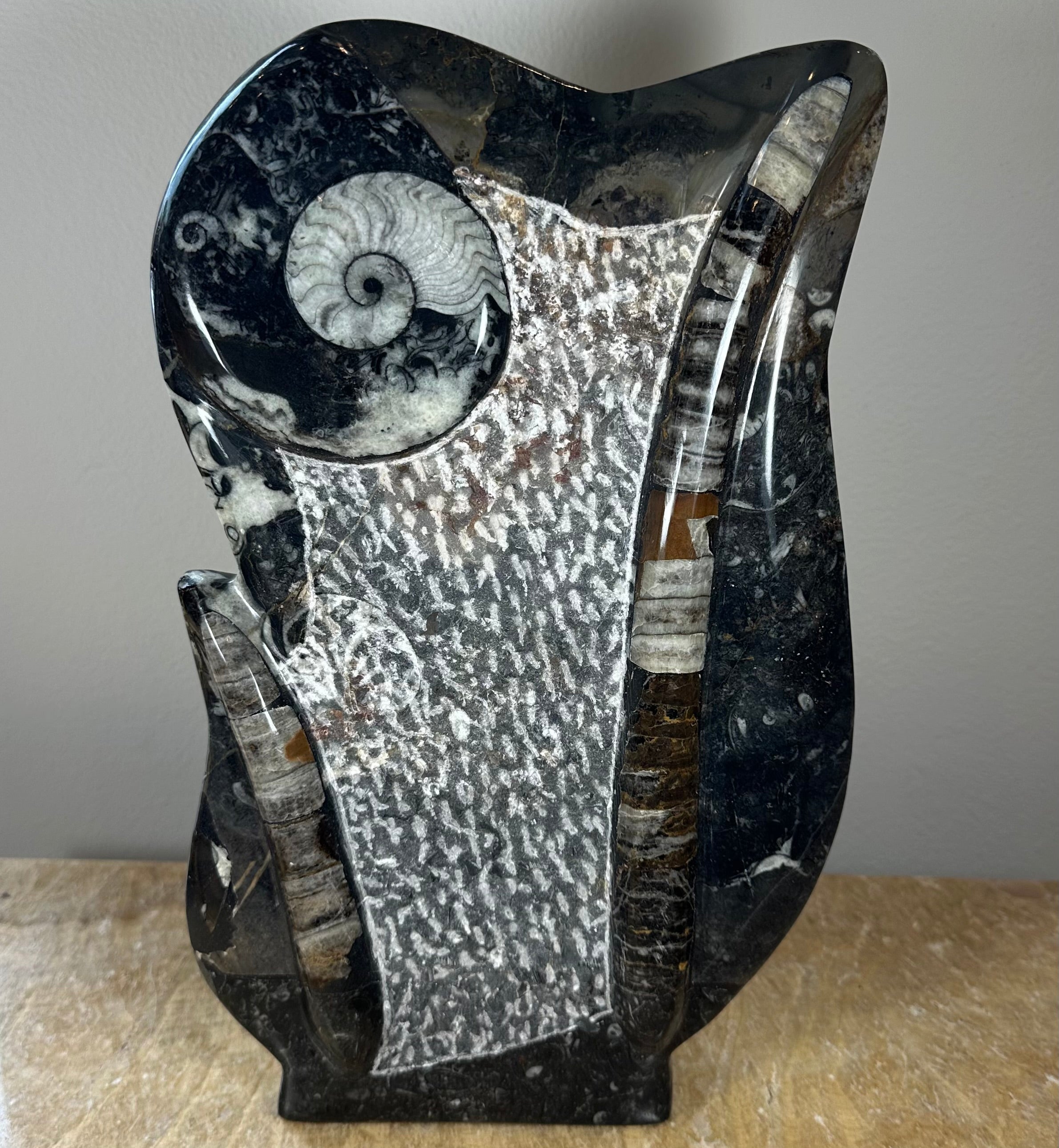 Ammonite Fossils in Matrix Sculpture | Fossils | Wiccan Center