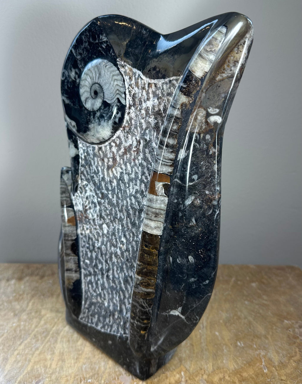 Ammonite Fossils in Matrix Sculpture | Fossils | Wiccan Center
