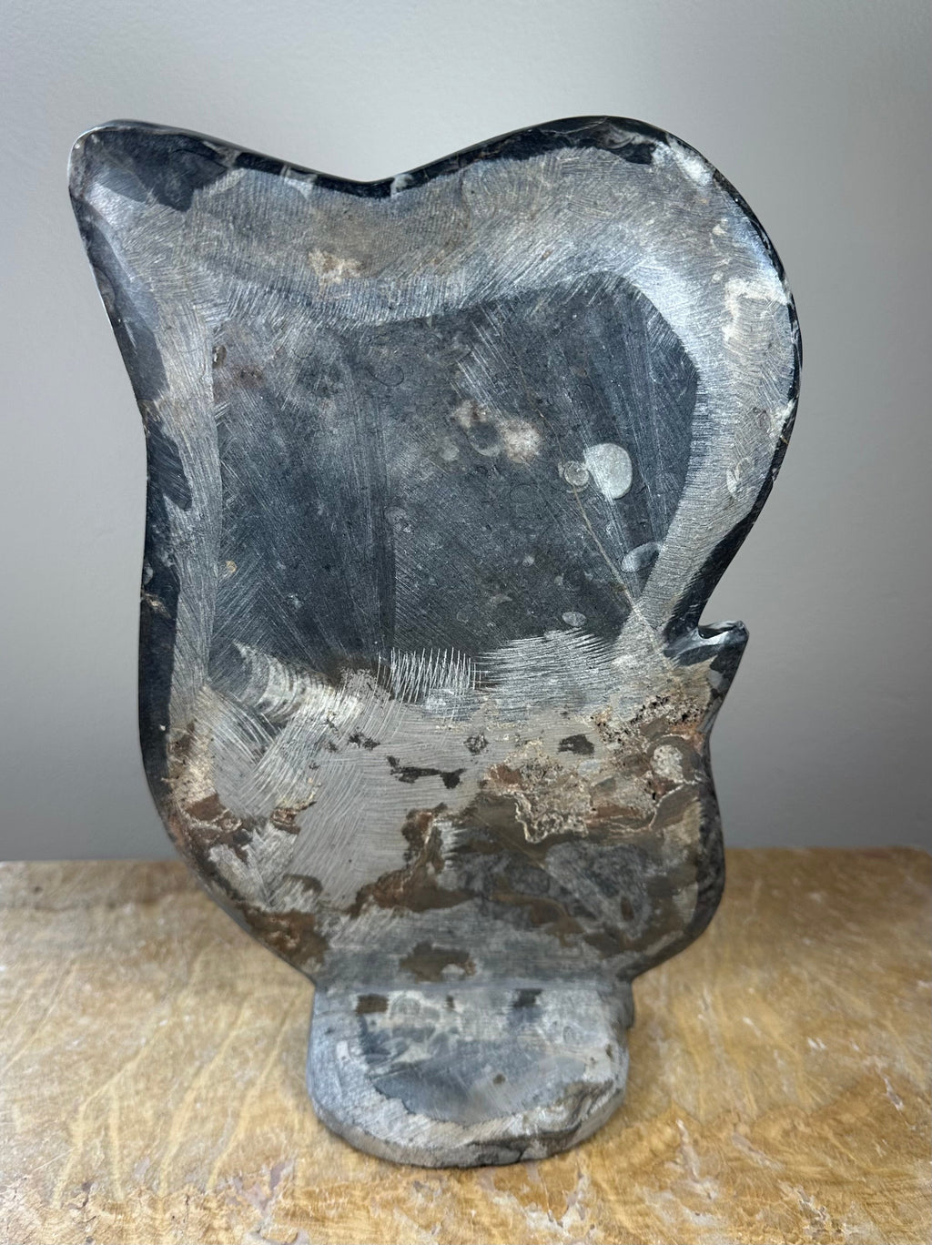 Ammonite Fossils in Matrix Sculpture | Fossils | Wiccan Center