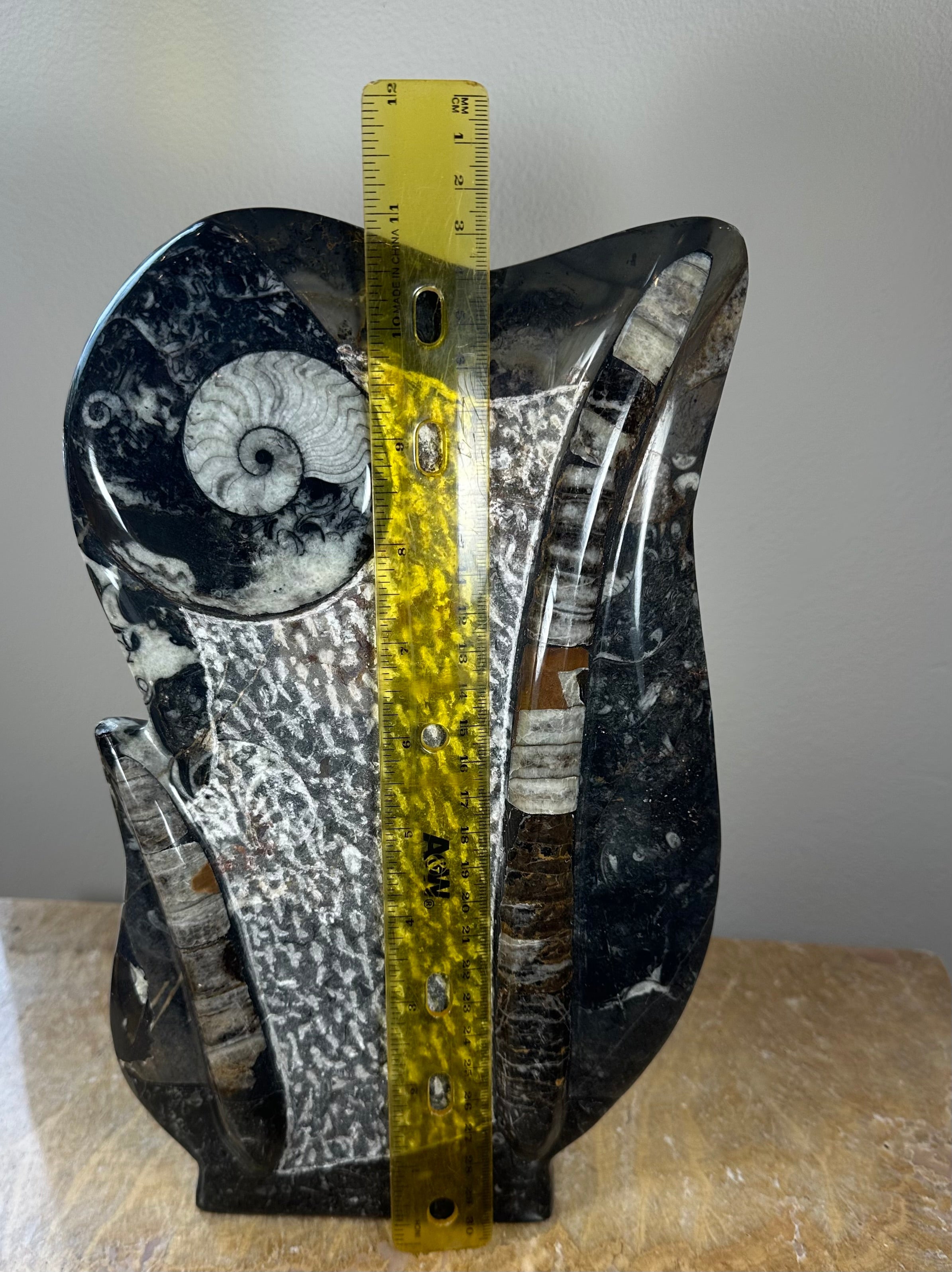 Ammonite Fossils in Matrix Sculpture | Fossils | Wiccan Center