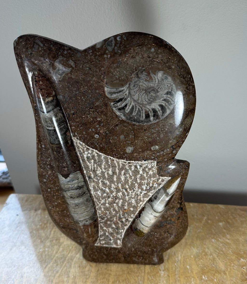 Ammonite Fossils in Matrix Sculpture | Fossils | Wiccan Center