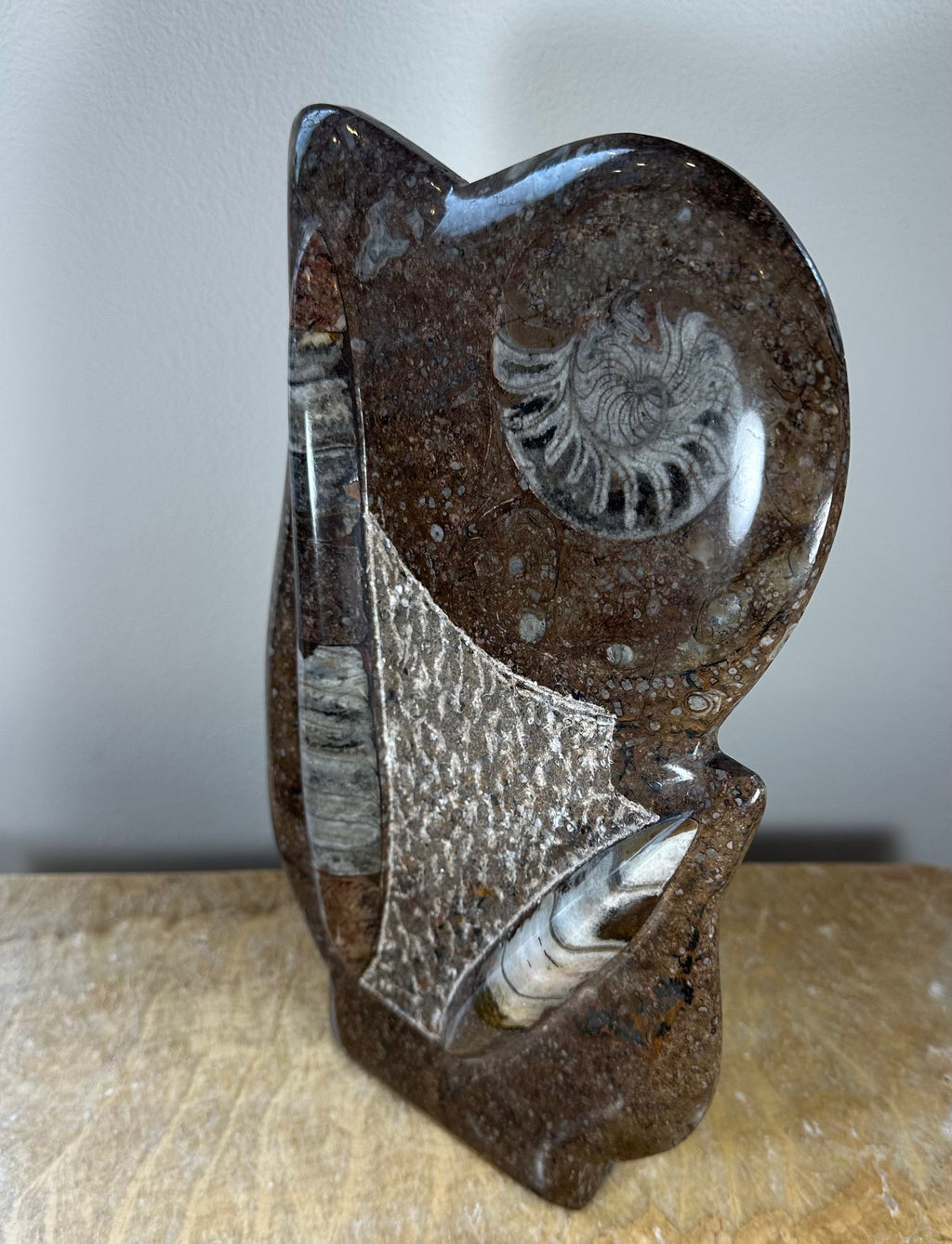 Ammonite Fossils in Matrix Sculpture | Fossils | Wiccan Center