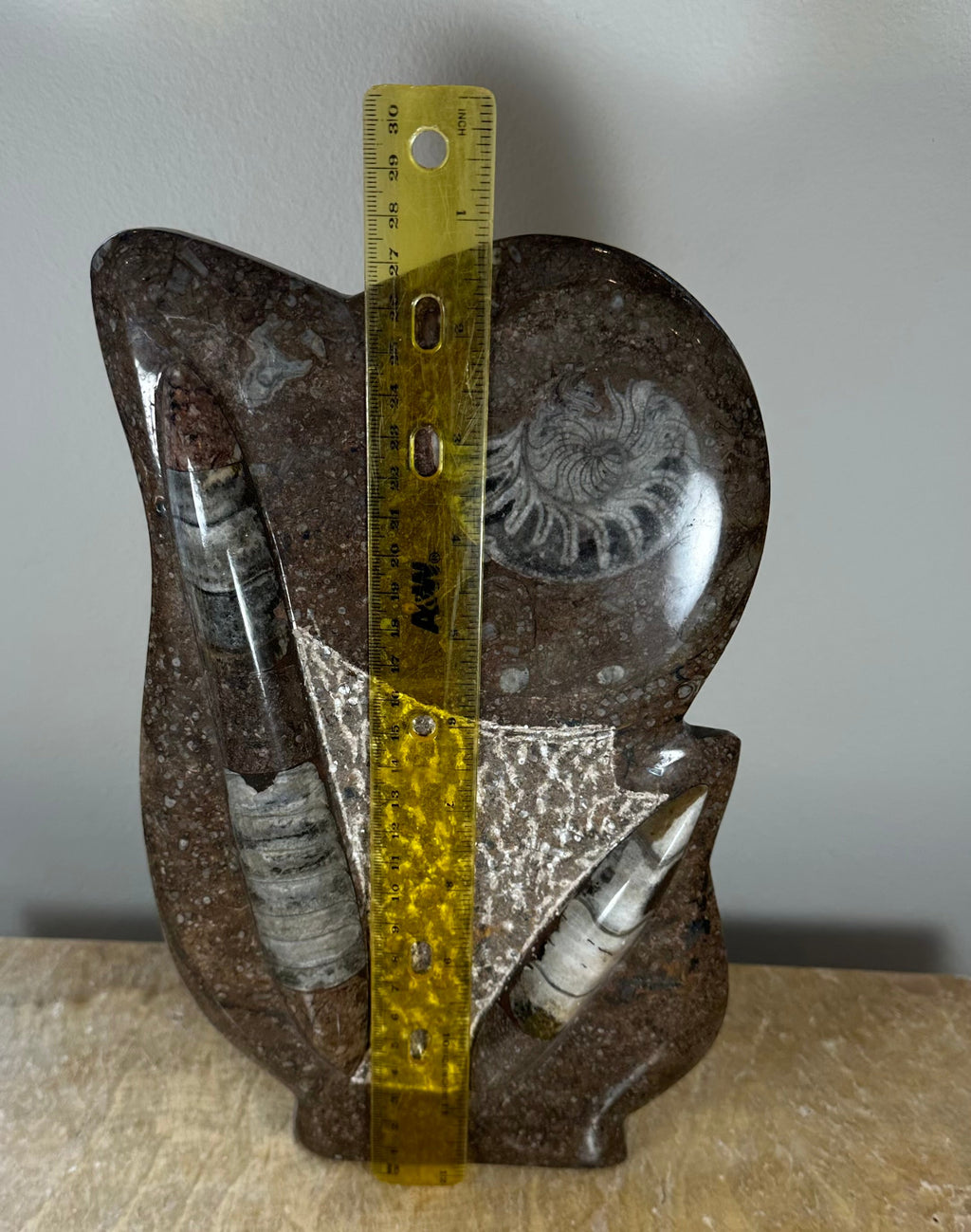 Ammonite Fossils in Matrix Sculpture | Fossils | Wiccan Center