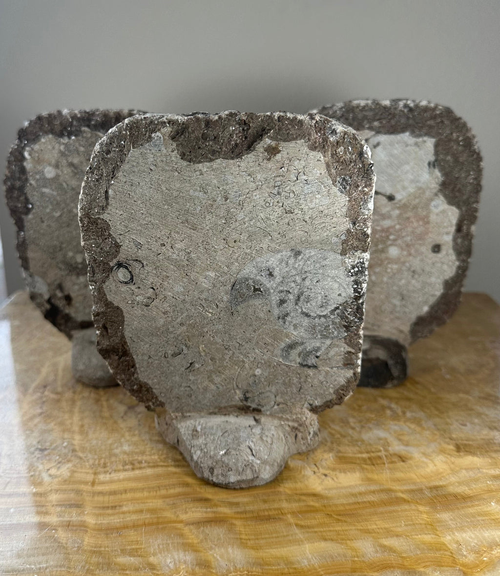 Ammonite Fossils in Matrix Sculpture | Fossils | Wiccan Center