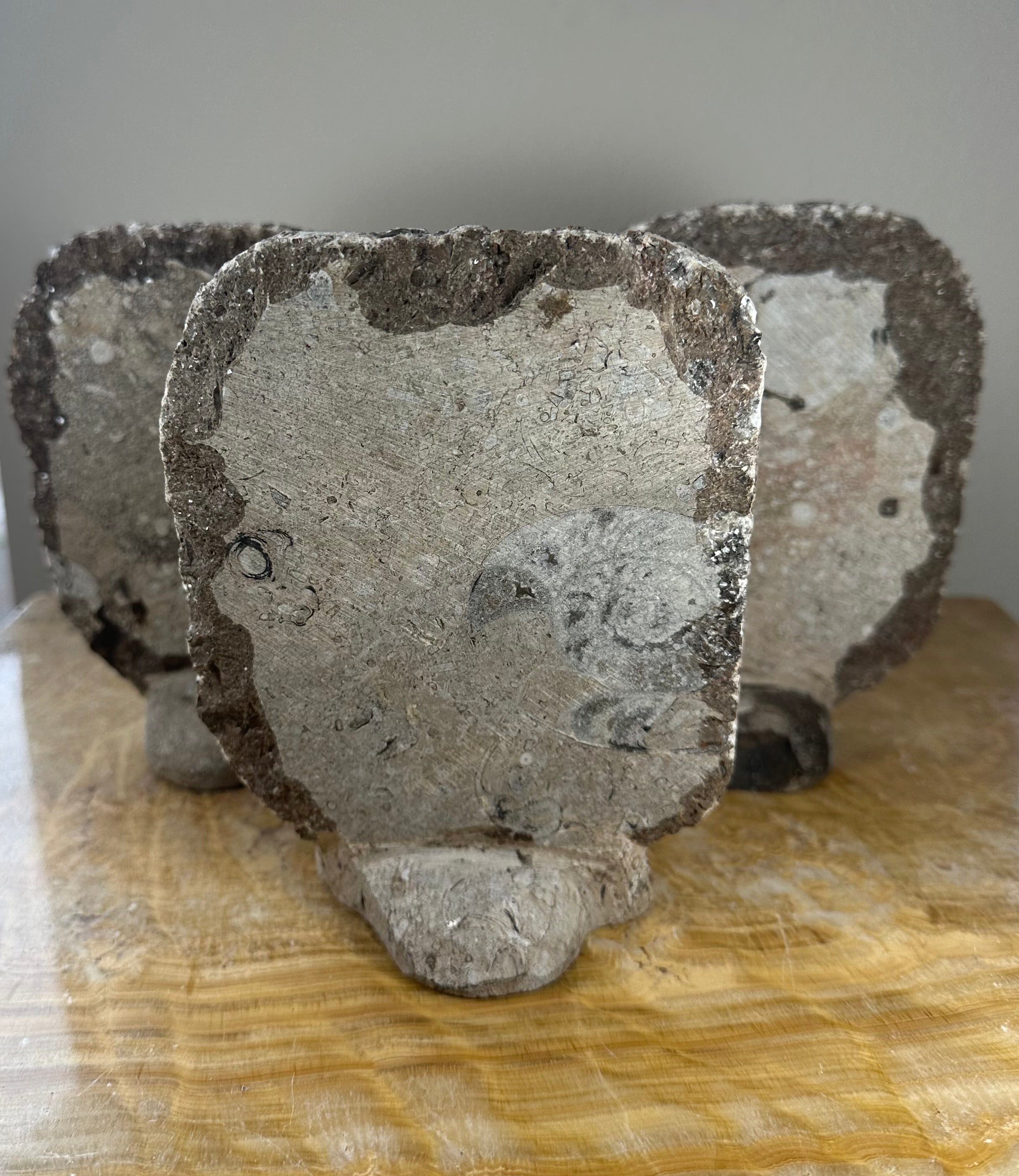 Ammonite Fossils in Matrix Sculpture | Fossils | Wiccan Center