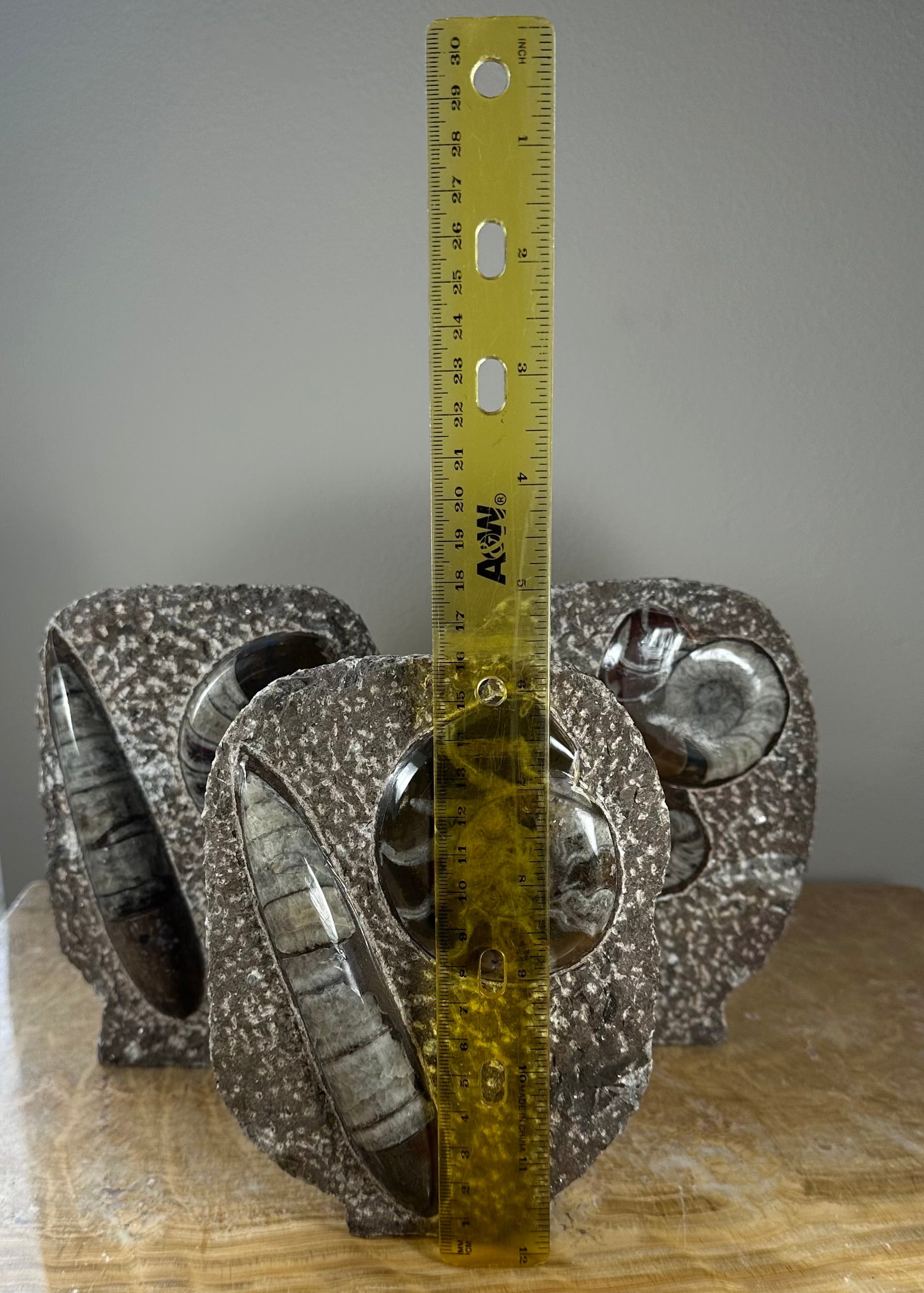 Ammonite Fossils in Matrix Sculpture | Fossils | Wiccan Center