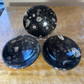 Orthoceras Fossils in Black Limestone Bowl from Atlas Mountains, Morocco | Lapidary | Wiccan Center