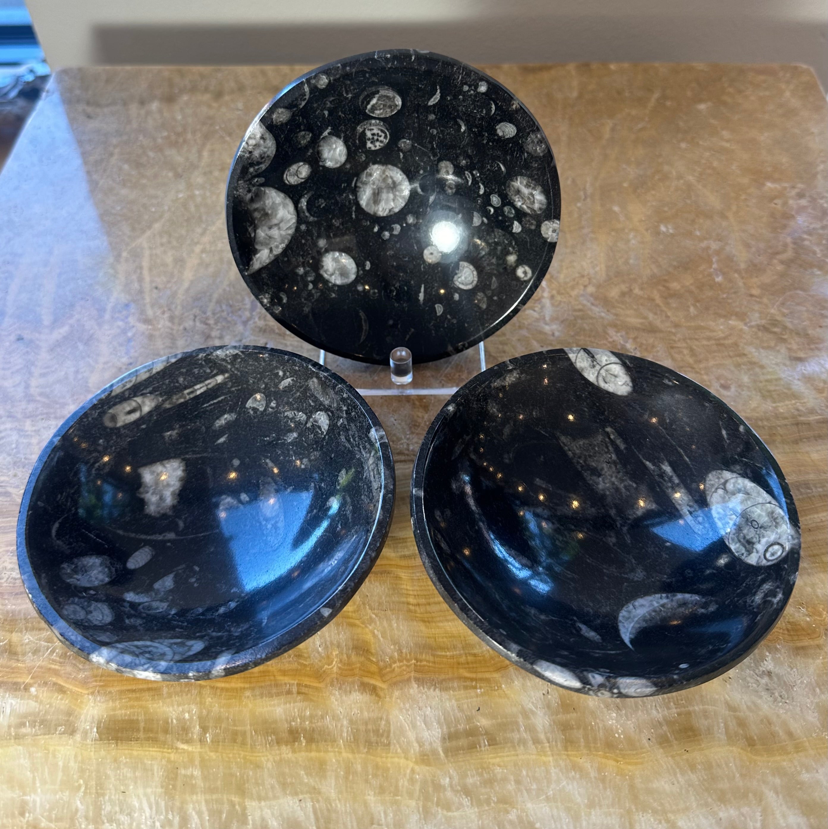 Orthoceras Fossils in Black Limestone Bowl from Atlas Mountains, Morocco | Lapidary | Wiccan Center
