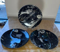 Goniatite & Orthoceras Fossils in Black Limestone Polished Yin-Yang Plate from Morocco | Fossils | Wiccan Center