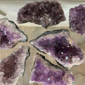 Brazilian Amethyst Druze MD | Minerals | Wiccan Center