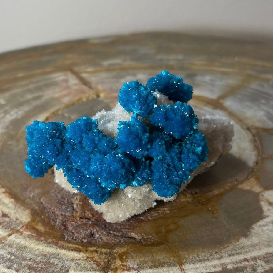 Cavansite with White Stilbite on Matrix Maharashtra, Pune, India | Minerals | Wiccan Center