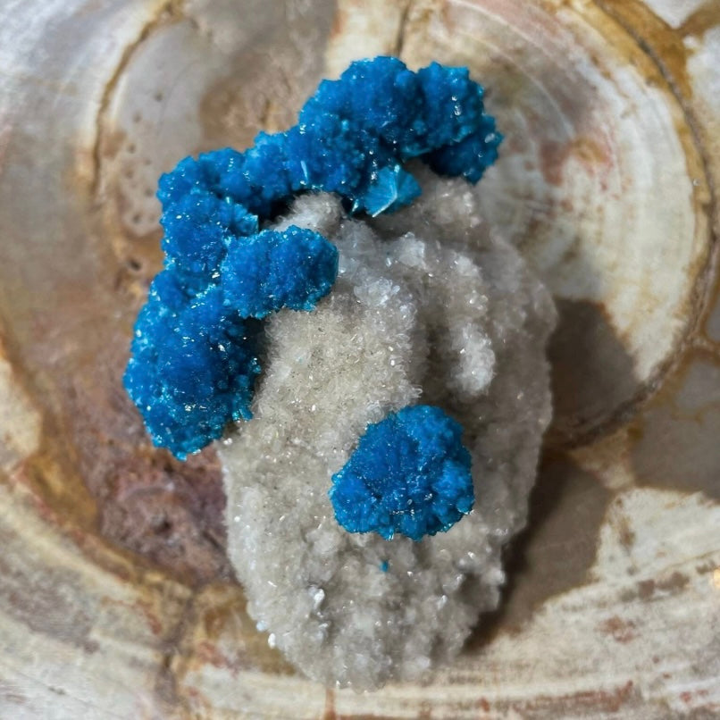 Cavansite with White Stilbite on Matrix Maharashtra, Pune, India | Minerals | Wiccan Center