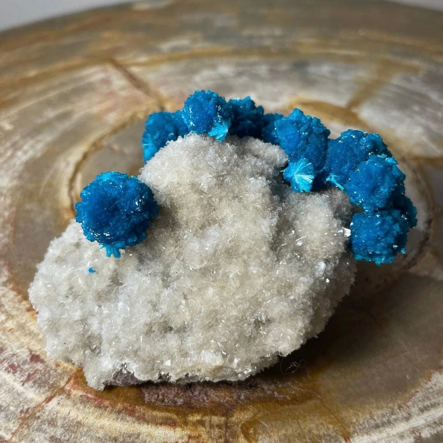Cavansite with White Stilbite on Matrix Maharashtra, Pune, India | Minerals | Wiccan Center