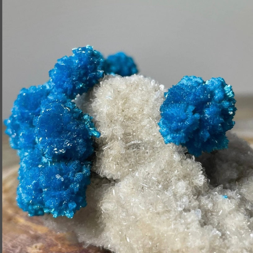 Cavansite with White Stilbite on Matrix Maharashtra, Pune, India | Minerals | Wiccan Center