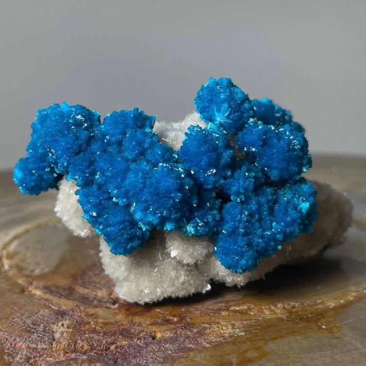 Cavansite with White Stilbite on Matrix Maharashtra, Pune, India | Minerals | Wiccan Center