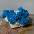 Cavansite with White Stilbite on Matrix Maharashtra, Pune, India | Minerals | Wiccan Center