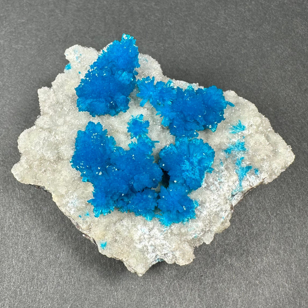 Cavansite with White Stilbite on Matrix Maharashtra, Pune, India | Minerals | Wiccan Center