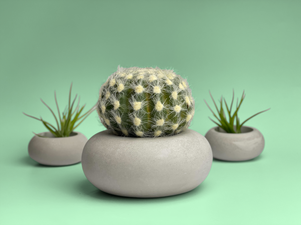 Perfect Succulent Planter