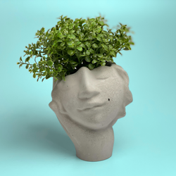 Face Succulent Planter on Hand | Planter | Wiccan Center