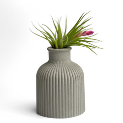 FAT MINI VASE | AIR PLANT HOLDER | Planter | Wiccan Center