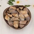 Picture Jasper Tumbled 1lb | Rocks & Fossils | Wiccan Center