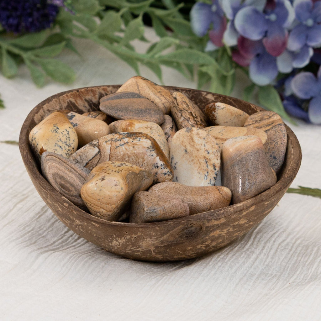Picture Jasper Tumbled 1lb | Rocks & Fossils | Wiccan Center