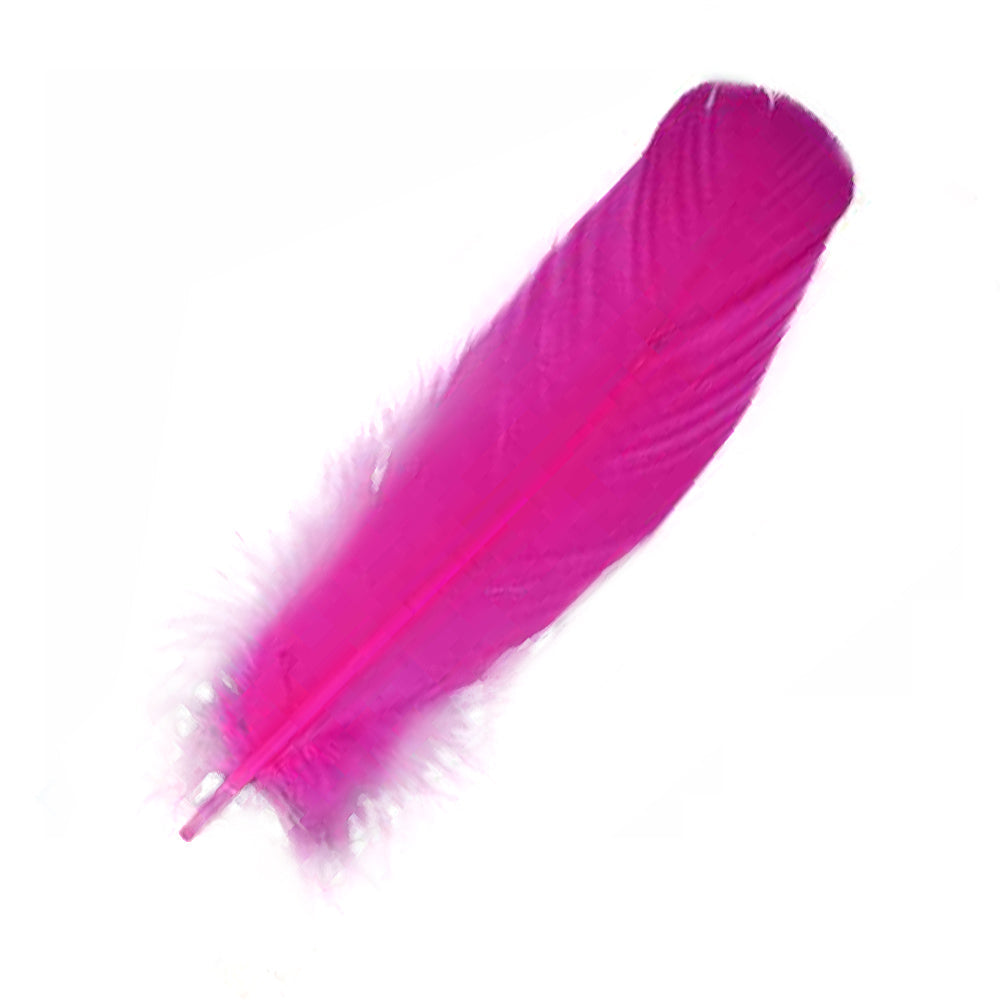 Pink Feather 12" | Feathers | Wiccan Center