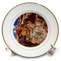 3dRose Agate House, Petrified Forest NP, Arizona, USA. - Plates (cp_331054)