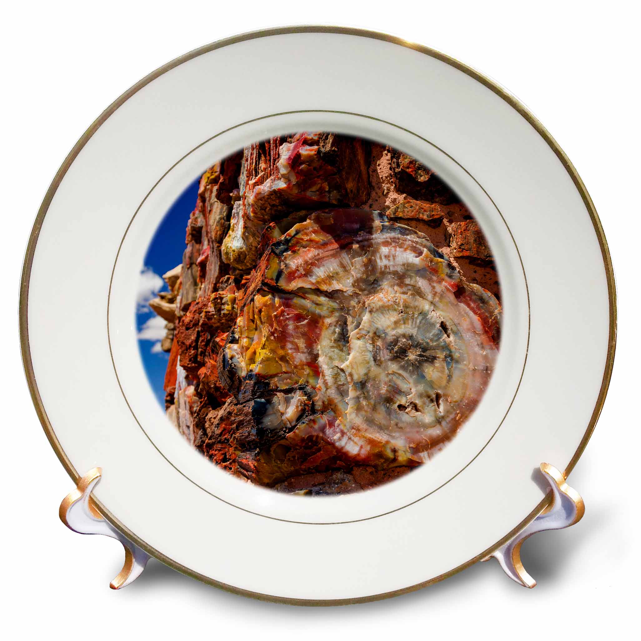 3dRose Agate House, Petrified Forest NP, Arizona, USA. - Plates (cp_331054)