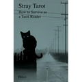 Stray Tarot: How to Survive as a Tarot Reader - Paperback