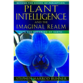 Plant Intelligence and the Imaginal Realm: Beyond the Doors of Perception Into the Dreaming of Earth - Paperback | Books | Wiccan Center