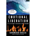 Emotional Liberation: Life Beyond Triggers and Trauma - Paperback