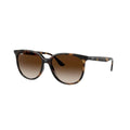 RAY-BAN Chic Gradient Brown Sunglasses for Women