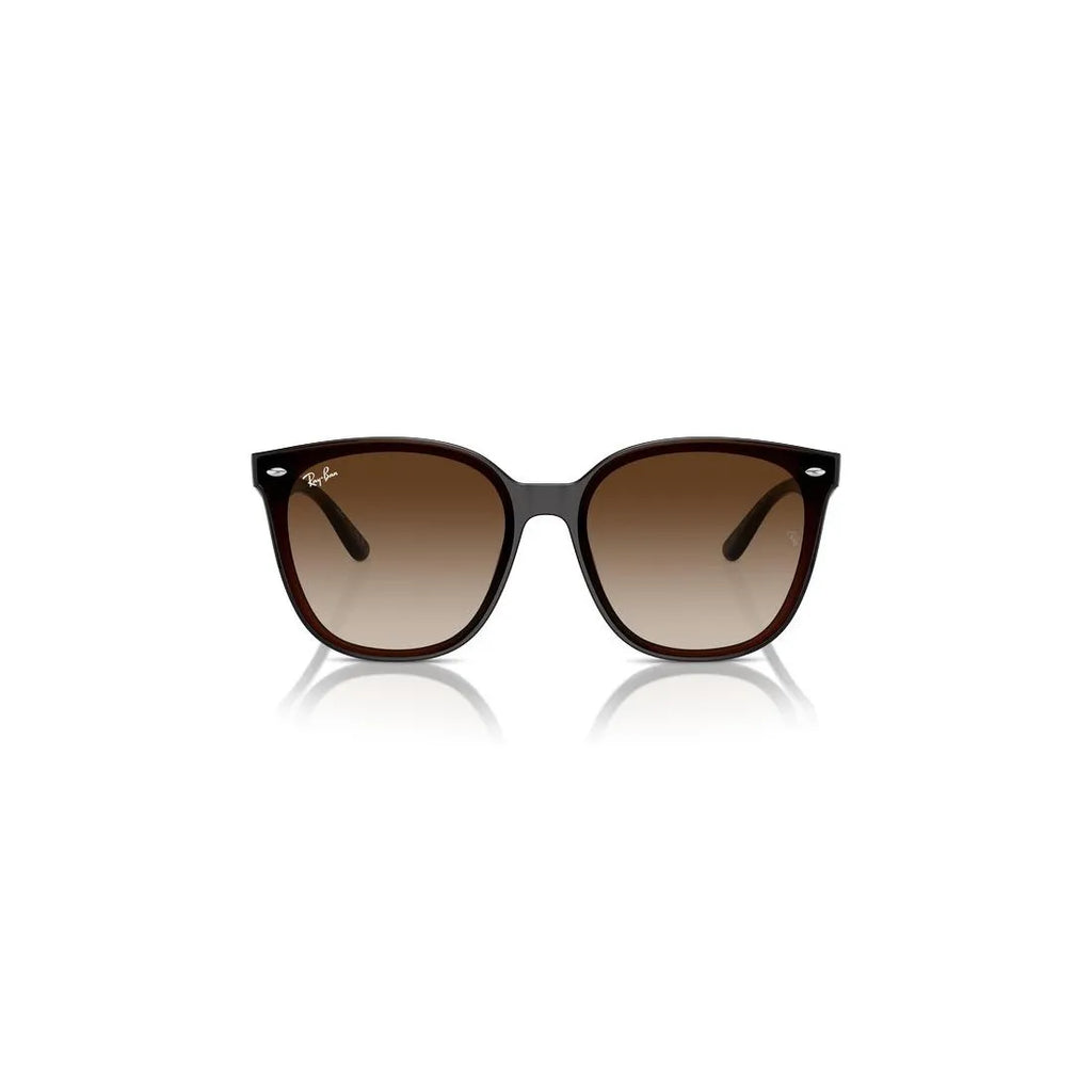 RAY-BAN Stylish Acetate Sunglasses for Men RB4423D