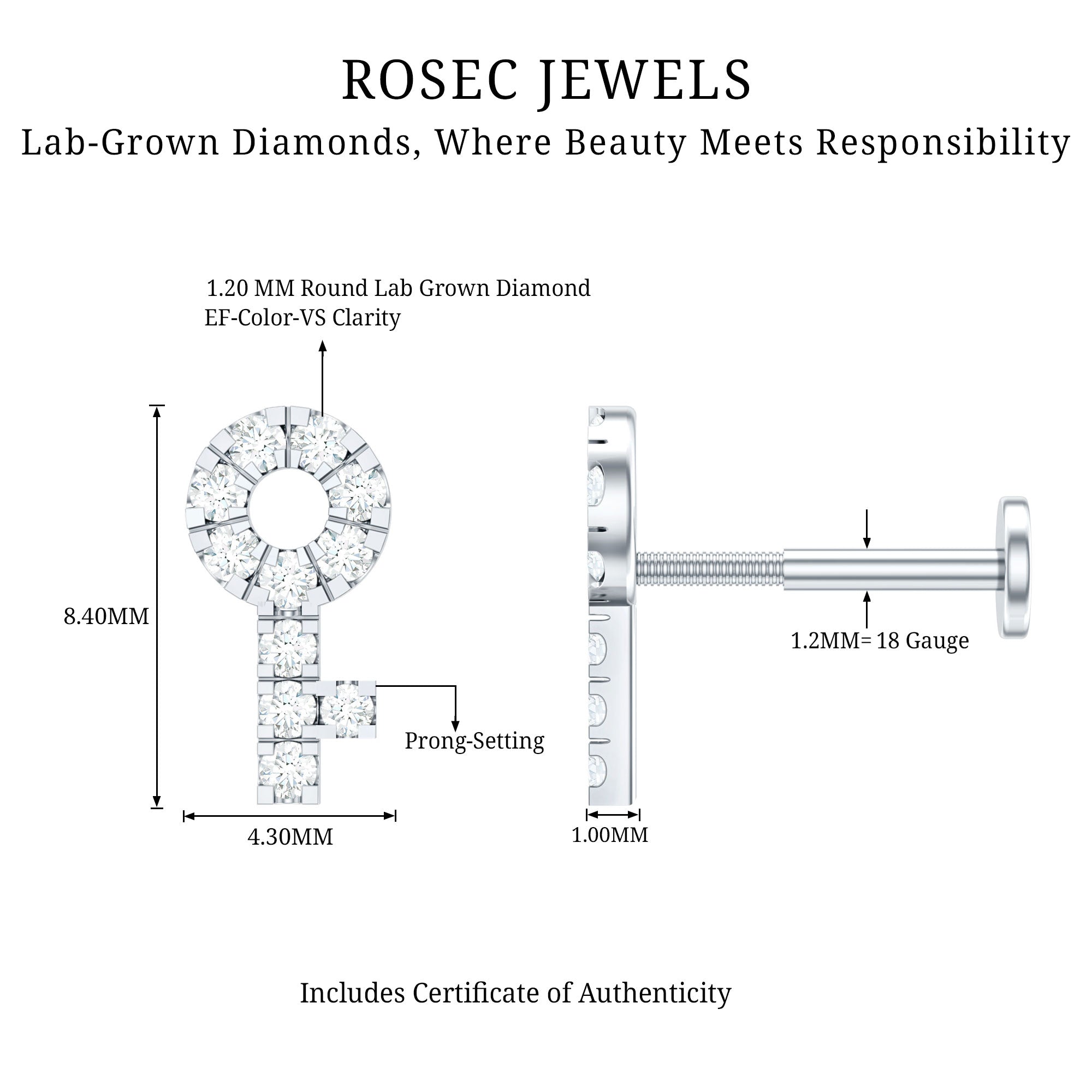 Diamond Key Shape Tragus Earring | Body Jewelry | Wiccan Center
