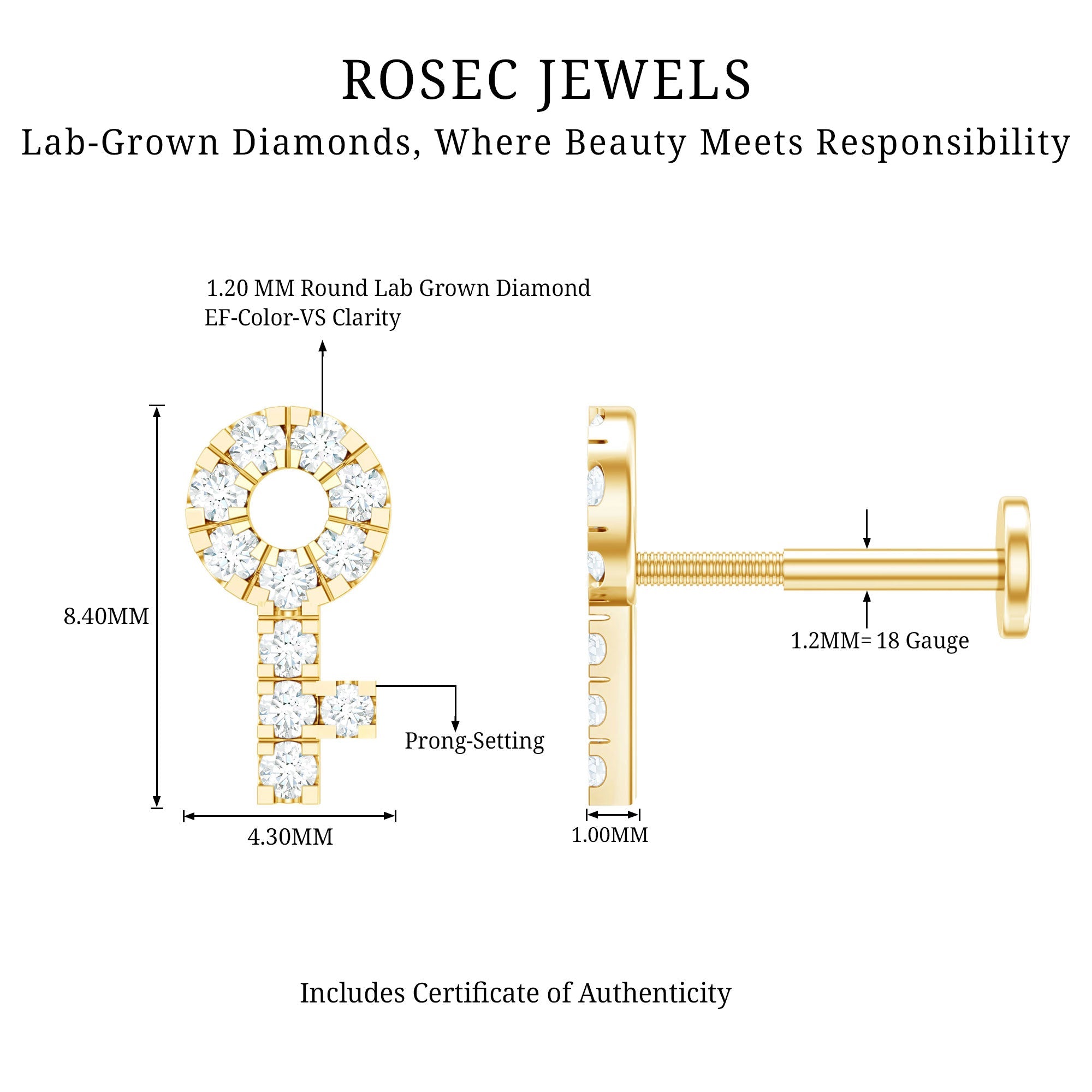 Diamond Key Shape Tragus Earring | Body Jewelry | Wiccan Center