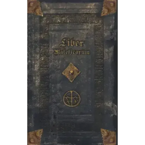 Liber Maleficarum: The mysterious diary of an unknown witch - Paperback
